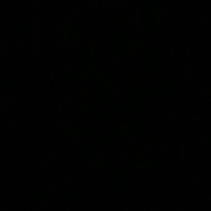 Meet your Posher, Trinity